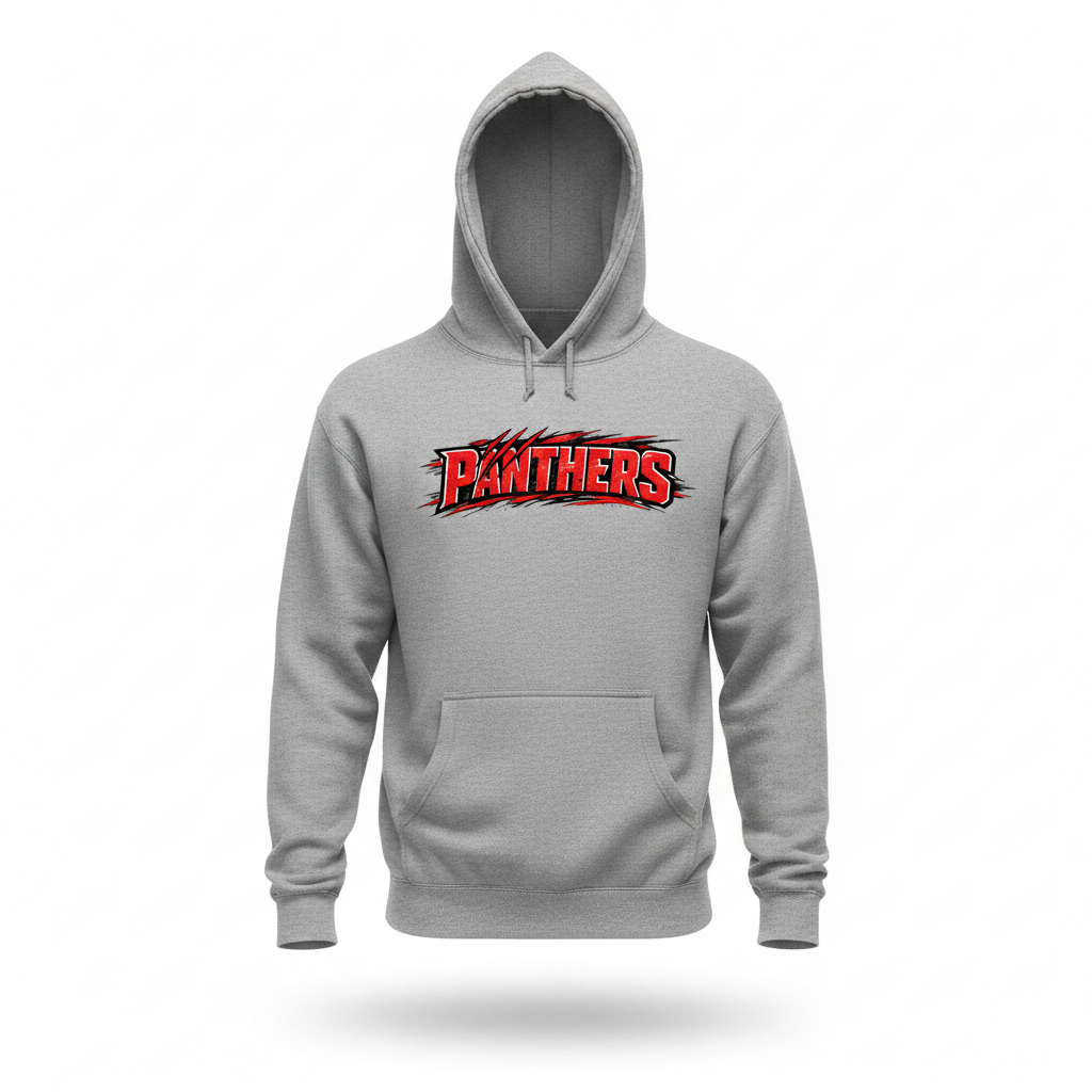 Panthers Hoodie - Gray